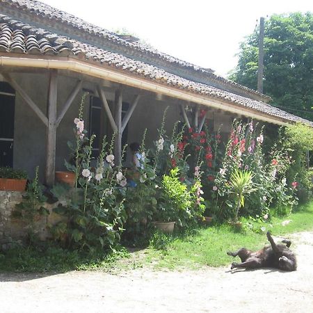 Chambres D'Hotes Le Chintre Queyssel Dış mekan fotoğraf
