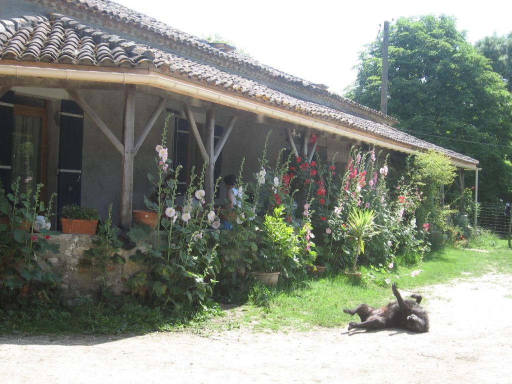 Chambres D'Hotes Le Chintre Queyssel Dış mekan fotoğraf